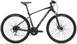 Xe đạp điện địa hình Giant Roam 3 Disc 2022